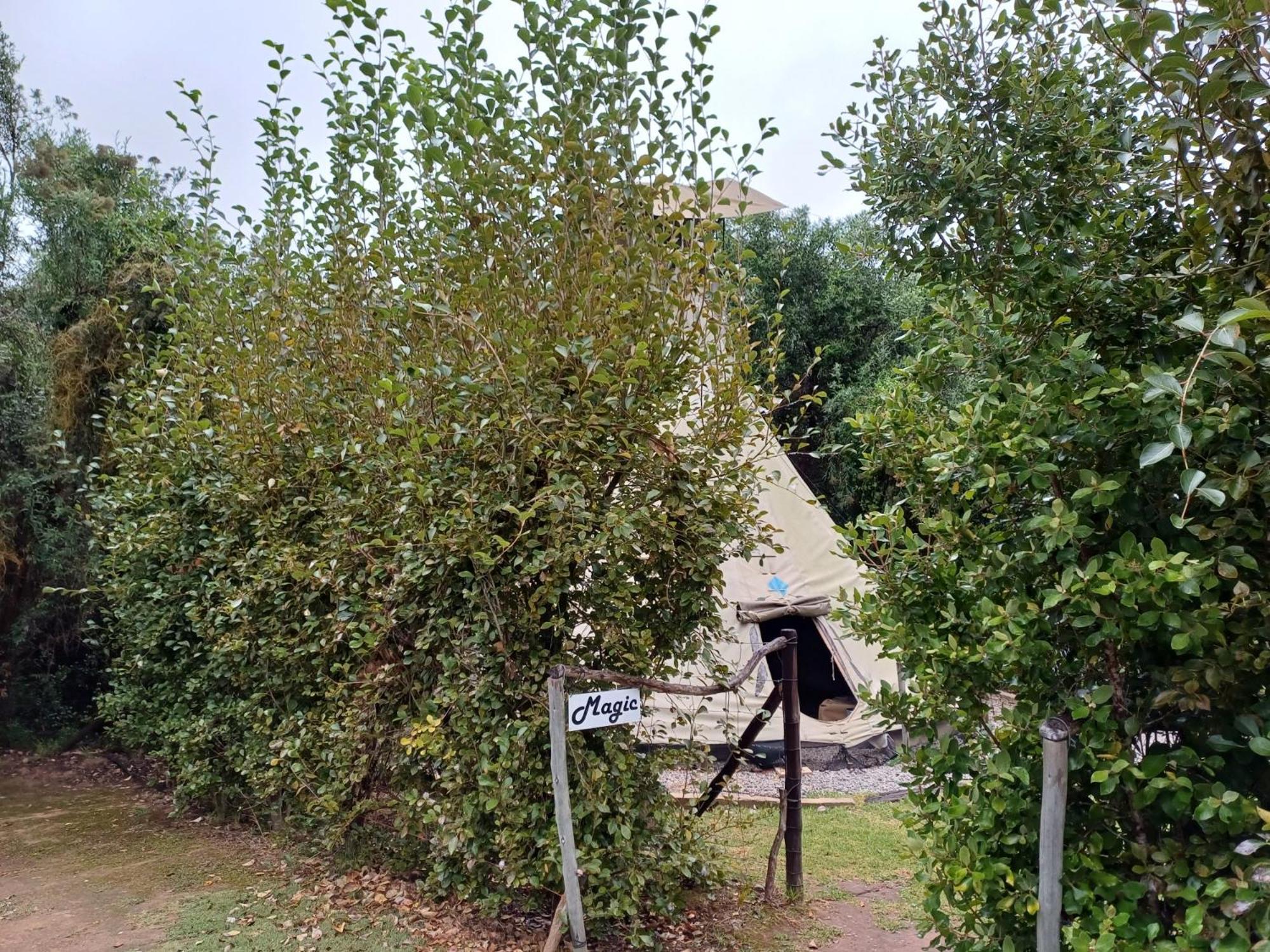 Assegai Rest Robertson Exterior foto